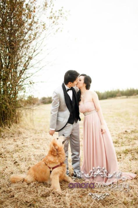 Pre Wedding Photo Shoot 2013-2014